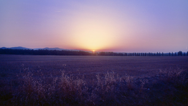 Sunset trees hill night sky free wallpaper - medium preview image
