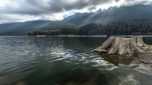 Tree stump lake mountains clouds free wallpaper - medium preview image