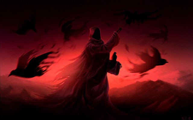 Person bird holding bird flying free wallpaper - medium preview image