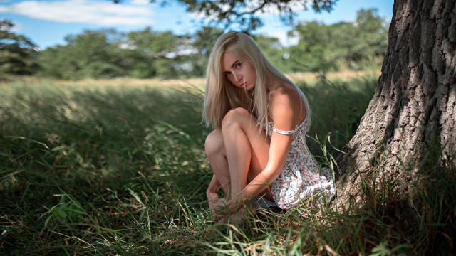 Woman sitting grass tree blonde free wallpaper - medium preview image