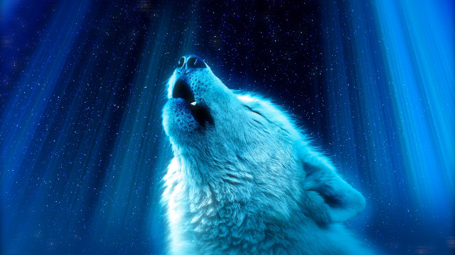 Wolf howling dark moon aurora free wallpaper - medium preview image