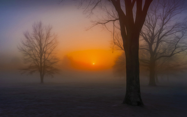 Foggy sunrise trees bench forest free wallpaper - medium preview image