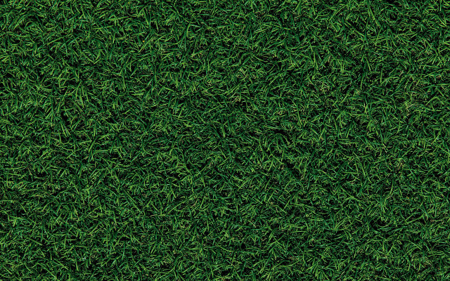 Grass texture closeup forest nature free wallpaper - medium preview image