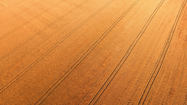Large field tractor person sky free wallpaper - medium preview image