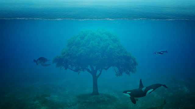 Tree fish water surreal matte free wallpaper - medium preview image