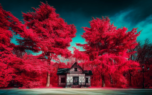 Red house forest autumn architecture free wallpaper - medium preview image