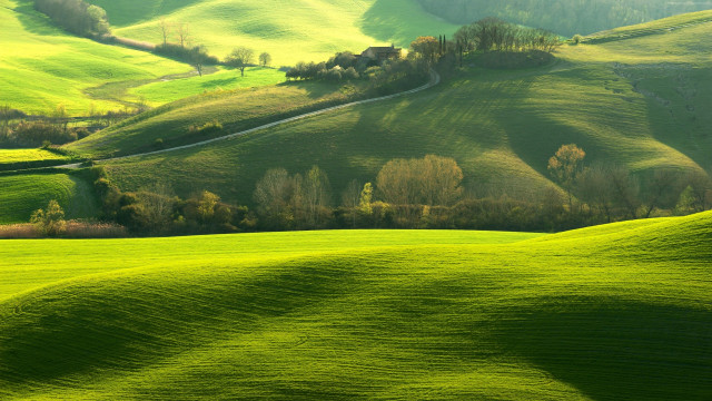 Green landscape rolling hills trees free wallpaper - medium preview image
