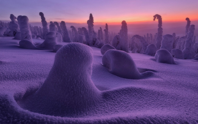 Snowy landscape trees bushes sunset #2 free wallpaper - medium preview image