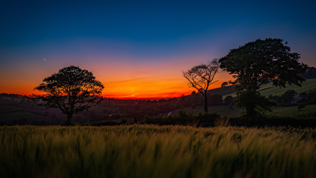 Sunset field trees hill clouds free wallpaper - medium preview image