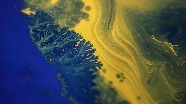Yellow blue abstract fractals nature free wallpaper - medium preview image