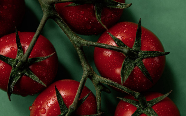 Tomatoes water droplets green surface free wallpaper - medium preview image