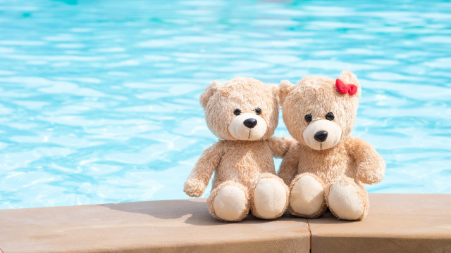 Teddy bears pool beach summer free wallpaper - medium preview image