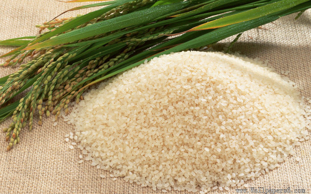 Rice grass burlap pile nature free wallpaper - medium preview image