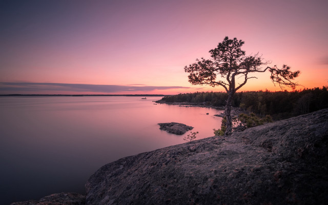 Lone tree rock water sunset #2 free wallpaper - medium preview image