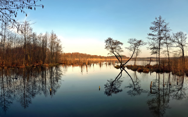 Lake forest autumn sky fence free wallpaper - medium preview image