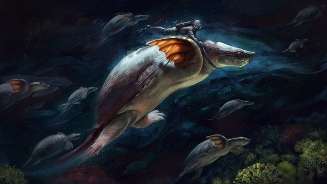Man riding turtle ocean dolphins free wallpaper - medium preview image