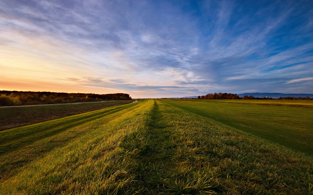 Field road sky clouds ocean free wallpaper for desktop - medium preview image