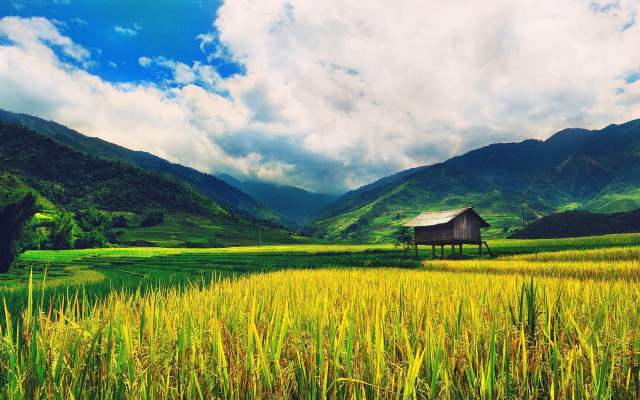 House field grass mountains clouds free wallpaper - medium preview image