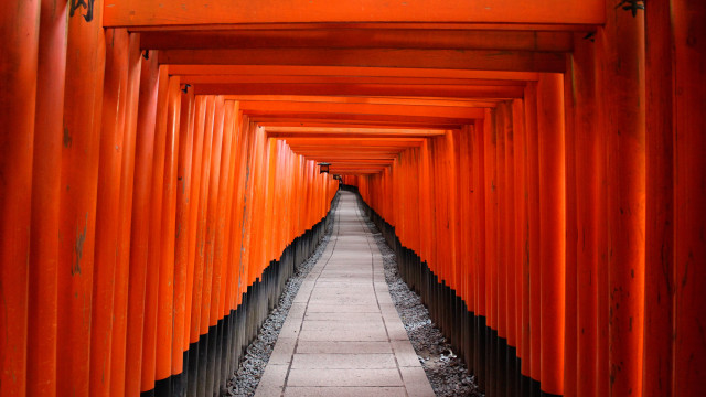 Orange pillars symmetry torii sunset free wallpaper - medium preview image