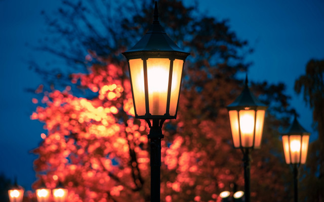 Streetlight tree night autumn fire free wallpaper - medium preview image