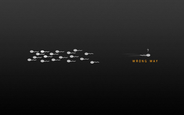 Black background white dots eve free wallpaper - medium preview image