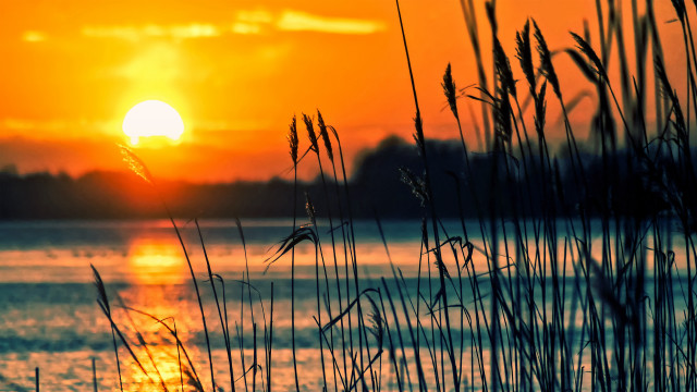 Sunset water tallgrass orange sky #2 free wallpaper - medium preview image