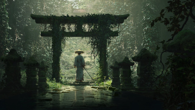 Man forest doorway green archway free wallpaper - medium preview image