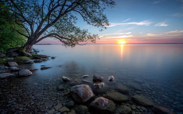 Tree lake sunset clouds mountain free wallpaper - medium preview image
