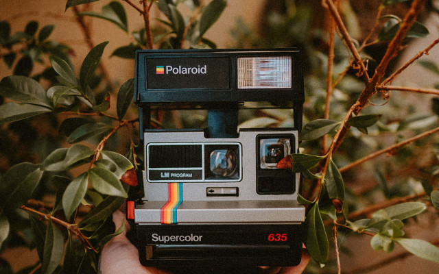 Polaroid camera tree branch rainbow free wallpaper - medium preview image