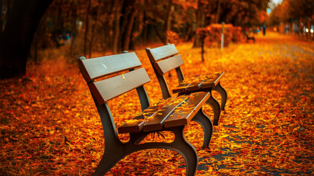 Park benches leaves fallen leaves free wallpaper - medium preview image