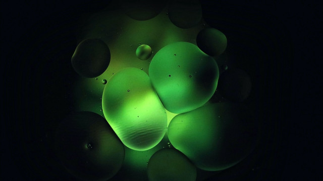 Glowing green bubbles holography microscopic free wallpaper for desktop - medium preview image