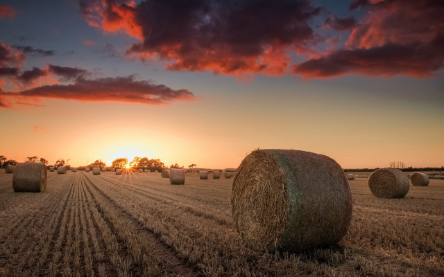 Hay bales sunset clouds art free wallpaper - medium preview image