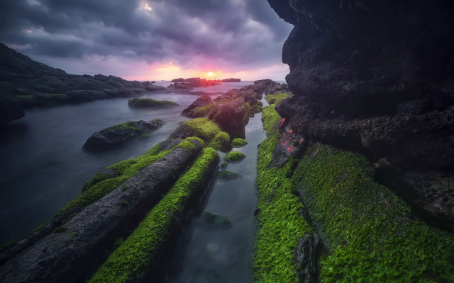 Sunset rocky beach moss water free wallpaper - medium preview image
