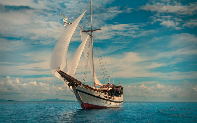 Sailboat ocean bird plane mattepainting free wallpaper - medium preview image