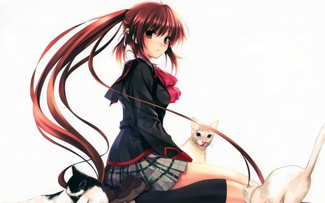 Long haired girl cat leash free wallpaper - medium preview image