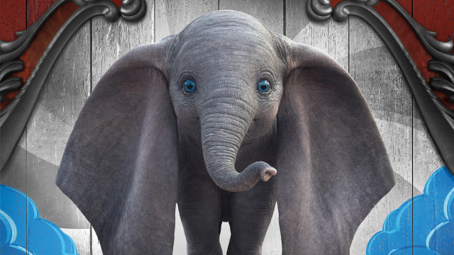 Elephant blue eyes wooden background free wallpaper - medium preview image