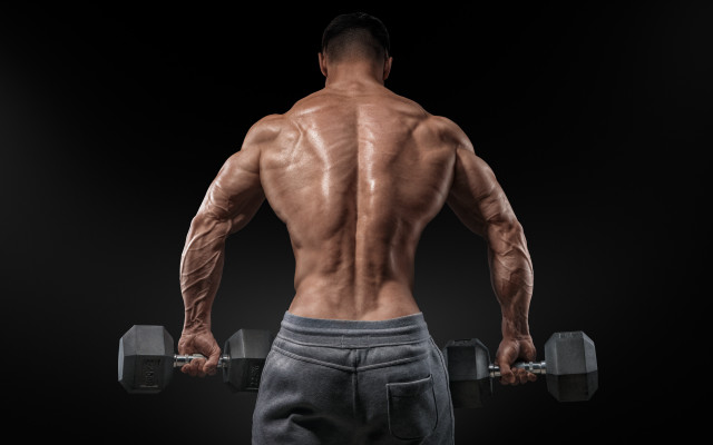 Muscular man back dumbbell black free wallpaper - medium preview image