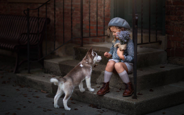 Little girl steps dog cat free wallpaper - medium preview image