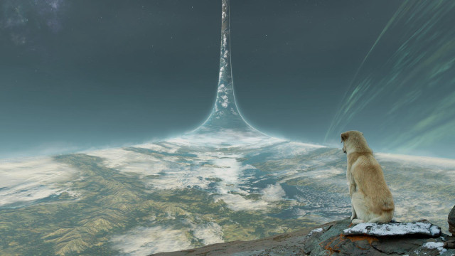 Dog sitting rock tower sky free wallpaper - medium preview image