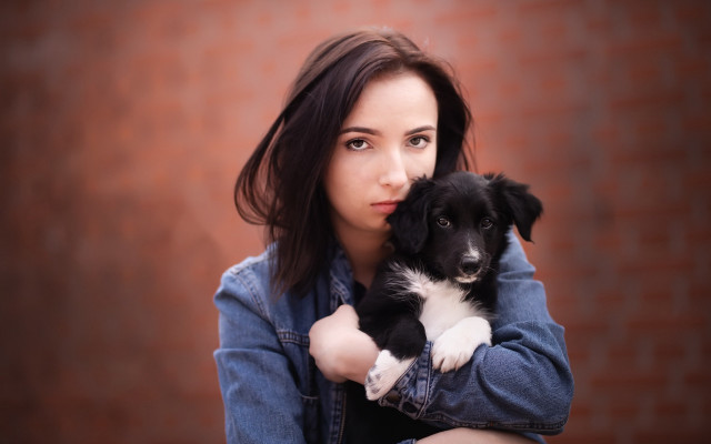 Woman holding puppy brickwall portrait free wallpaper - medium preview image