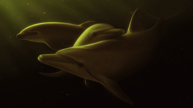 Dolphins sunlit water photorealism digital free wallpaper - medium preview image