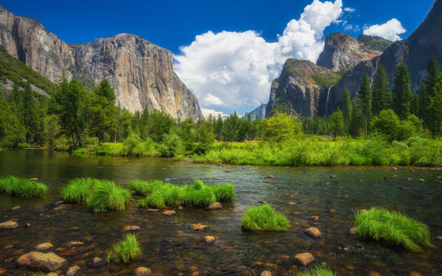 River mountains trees rocks grass free wallpaper - medium preview image