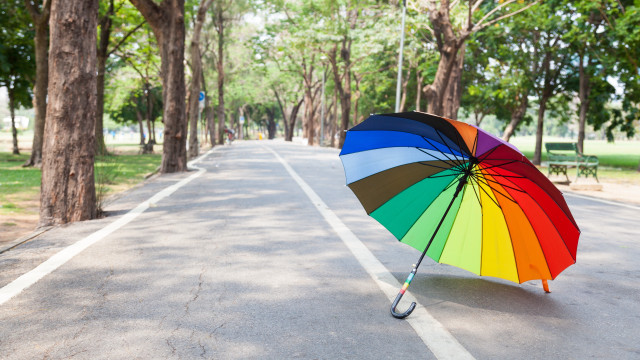 Rainbow umbrella park nature saturated free wallpaper - medium preview image