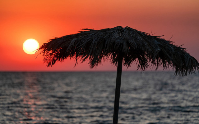 Palm beach sunset ocean moon free wallpaper - medium preview image