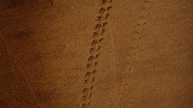 Beach couple surfboard footprints landart free wallpaper - medium preview image