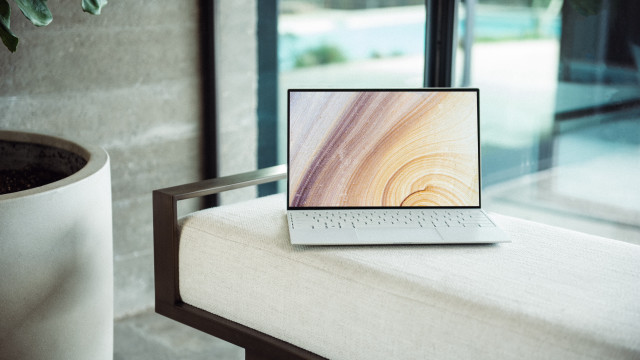 Laptop bench potted plant window free wallpaper - medium preview image