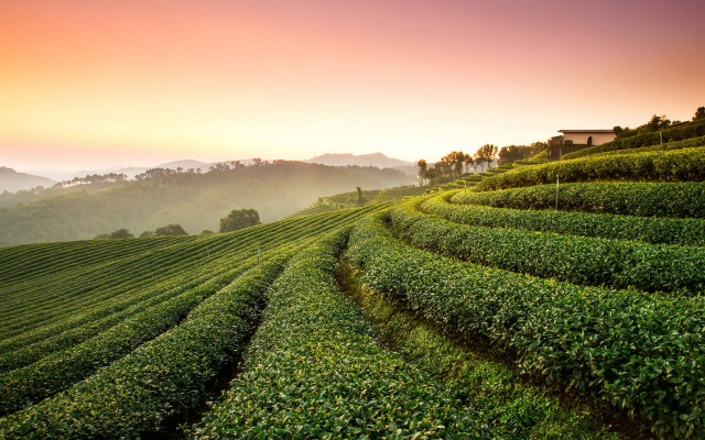 Green field sunset hill house free wallpaper - medium preview image