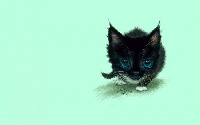 Black kitten blue eyes mustache #2 free wallpaper - medium preview image