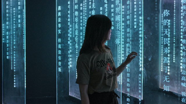 Woman wall numbers cyberpunk interactive free wallpaper - medium preview image