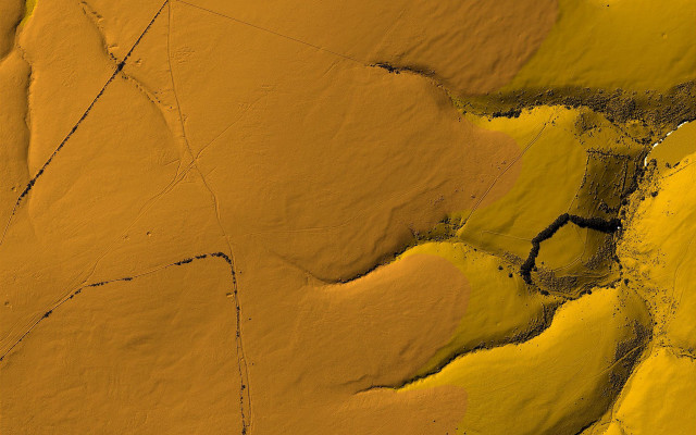 Sunflower desert black line generative free wallpaper - medium preview image